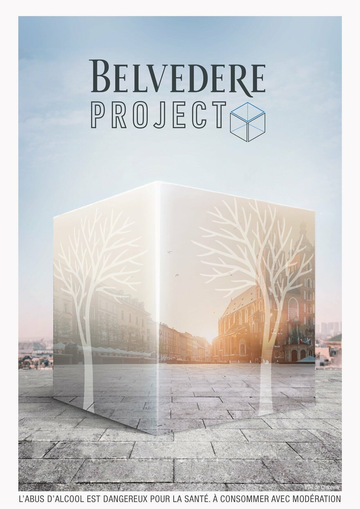 Belvedere Project affiche
