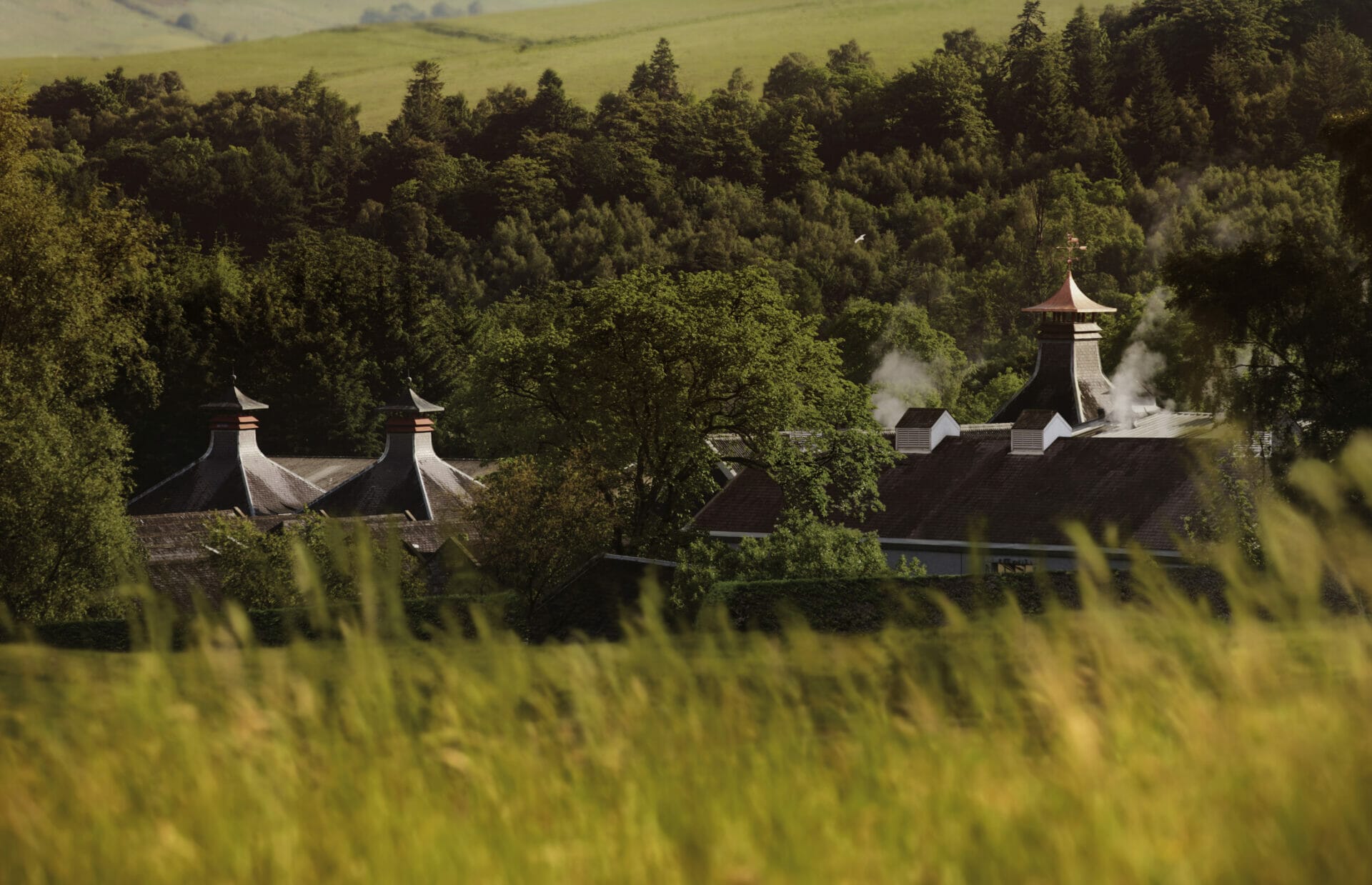Glenfiddich, la vallée des cerfs