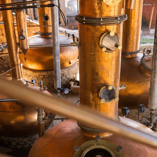Cachaça Gaya Alambic