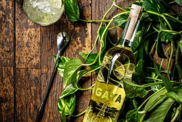 Cachaca Gaya