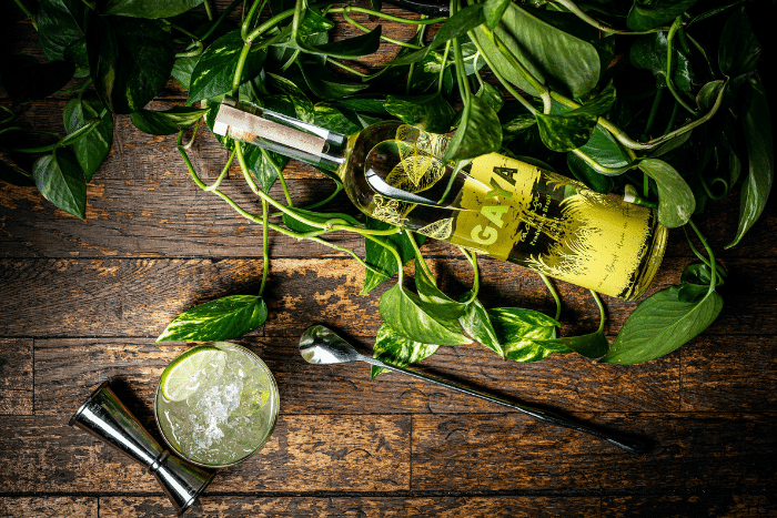 Cachaça Gaya bouteille
