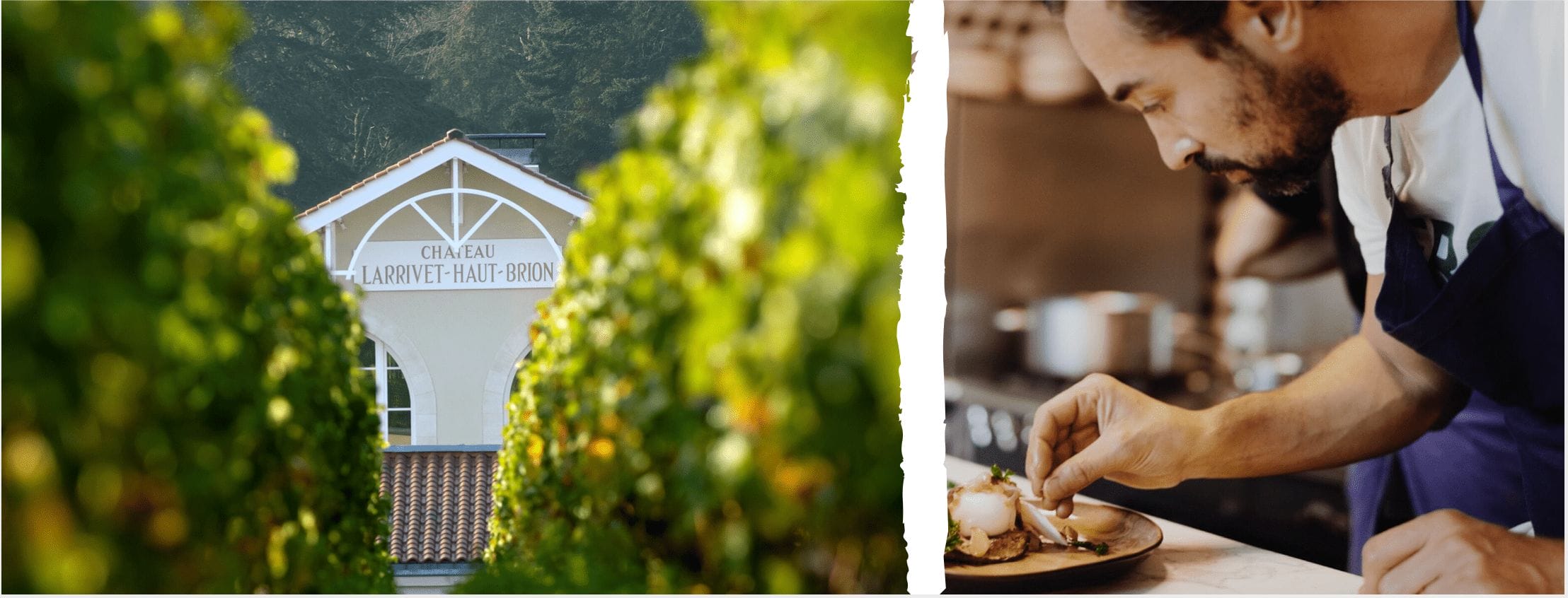 Soif d&rsquo;exception – balade au Château Larrivet Haut Brion