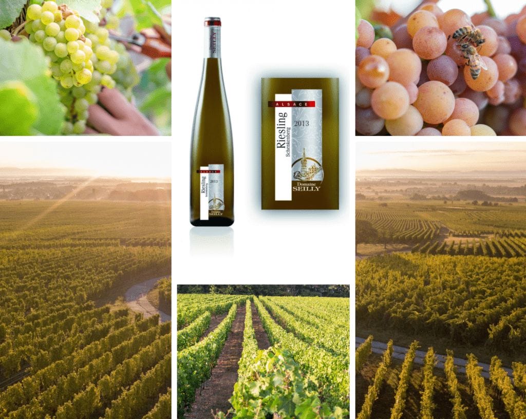 Domaine Seilly - Alsace Riesling lieu-dit Schenkenberg 2013 Bio