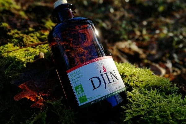 Djin spiritueux sans alcool bio