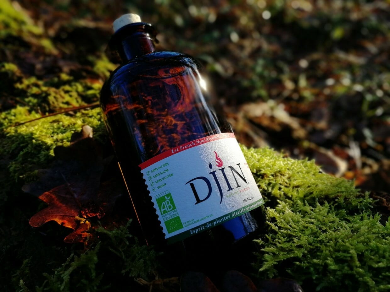 Le Djin prend son envol et il a besoin de nous !