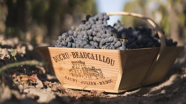 chateau ducru beaucaillou