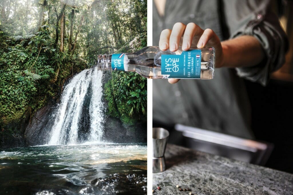 Hysope Tonic gamme