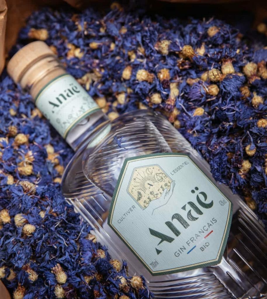 Anaë gin france