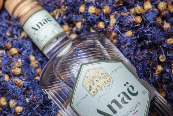 Anaë gin france