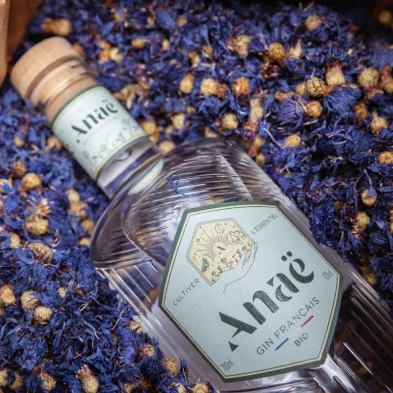 Anaë gin france