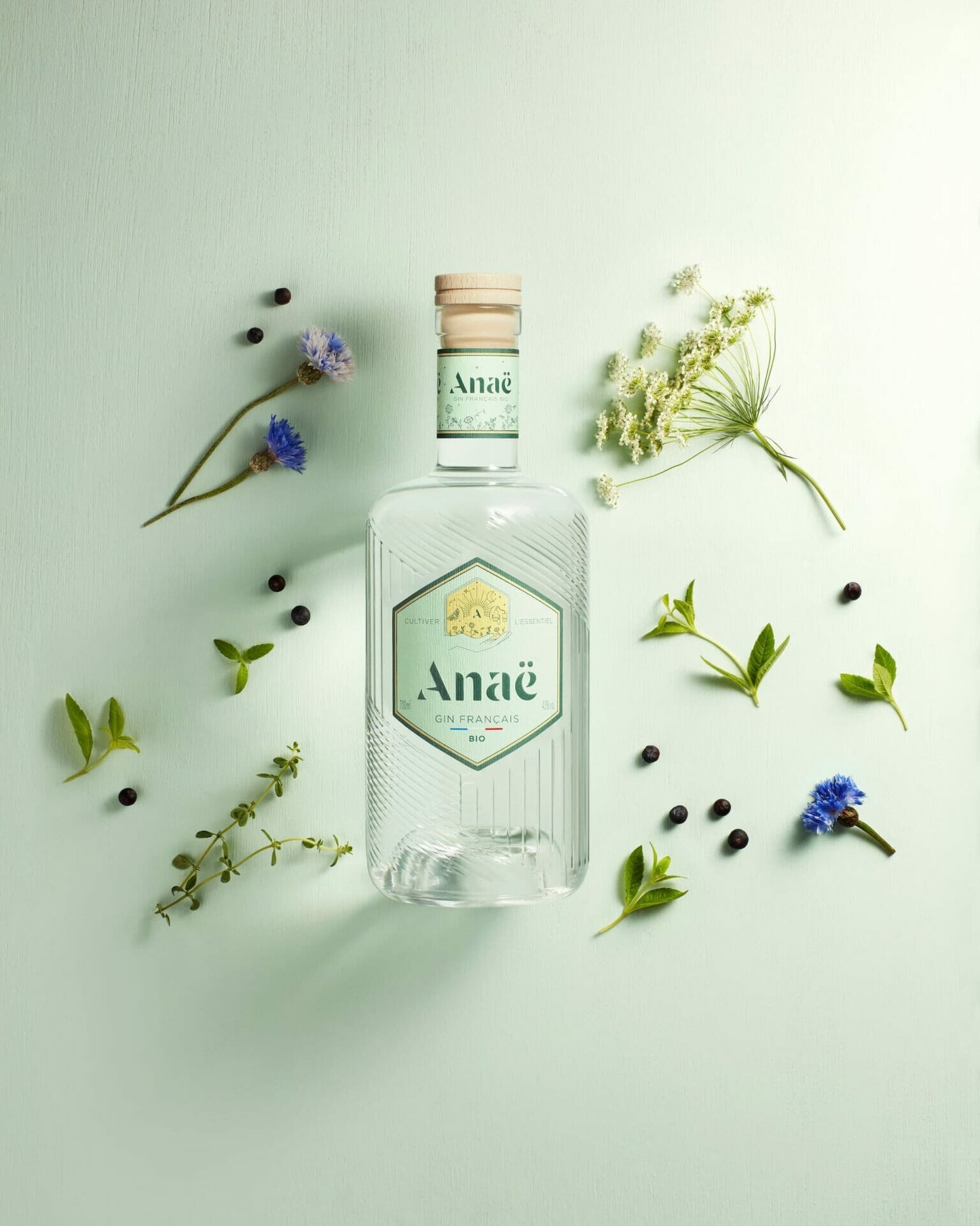 Anaë gin france