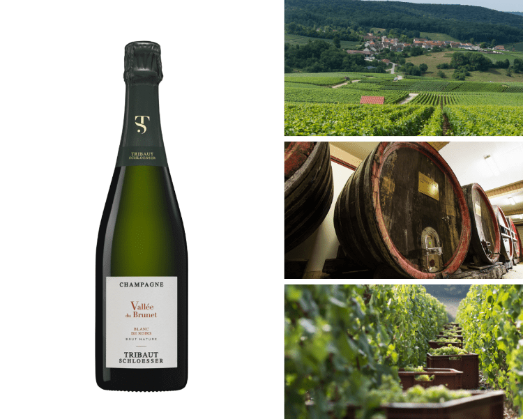 Champagne Tribaut Schloesser