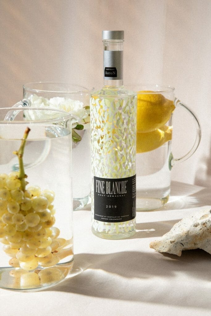 Fine Blanche Arton