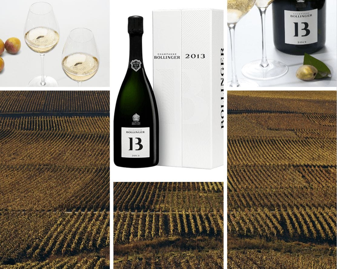 Bollinger B13