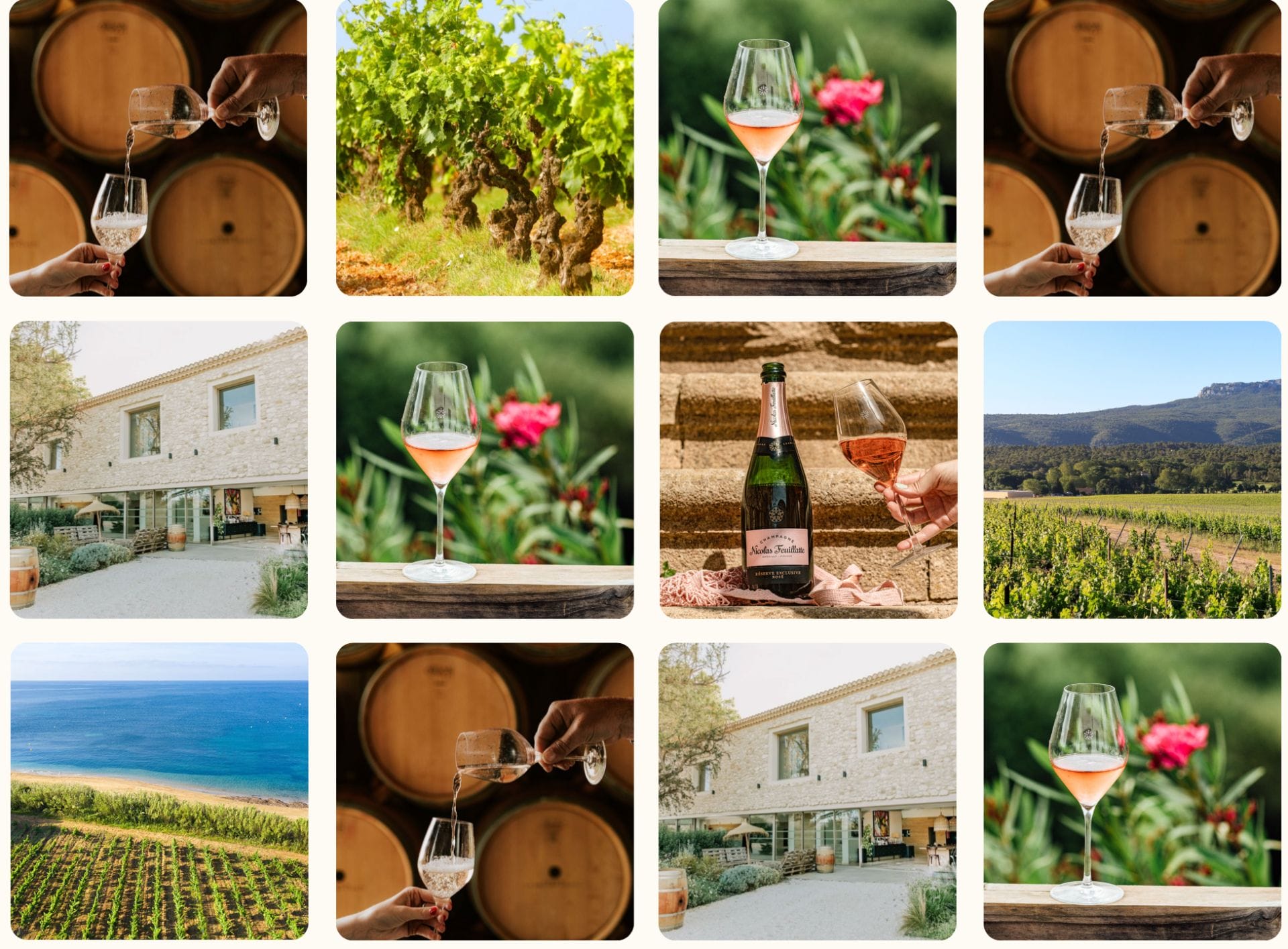Endless Summer – Des rosés pour un été infini