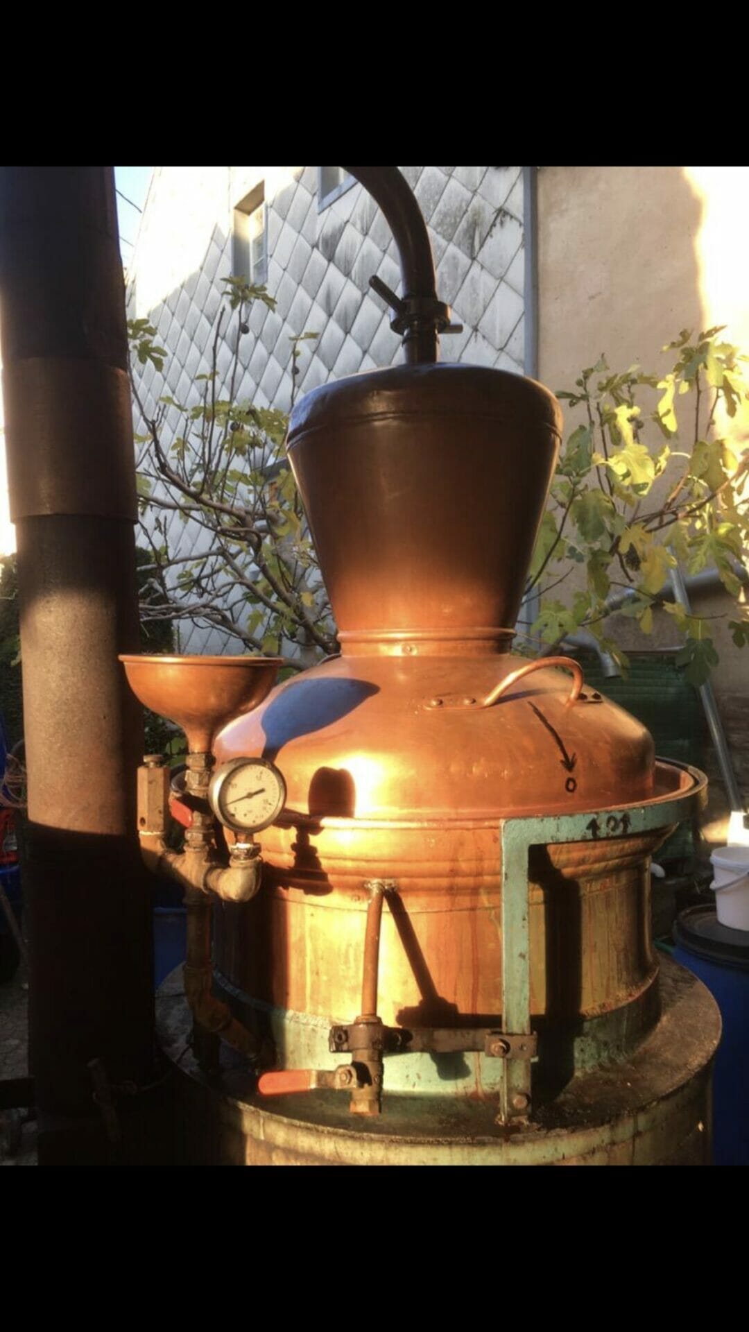 Nicolas Heinrich : la relève des bouilleurs de cru d’Oberhoffen sur Moder