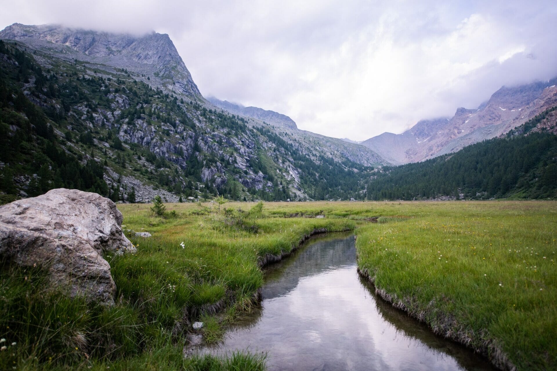Selvatiq Italian Alps