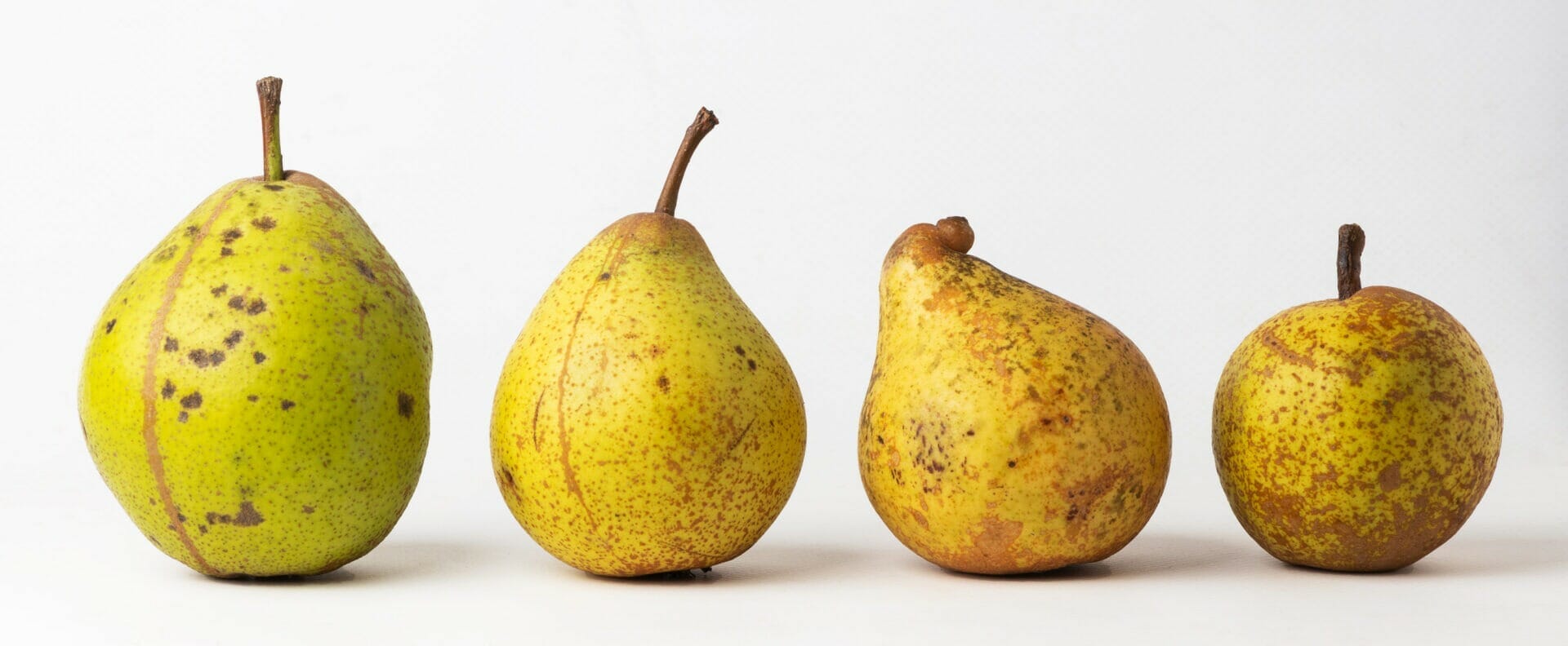 IDAC AOC calvados pommes