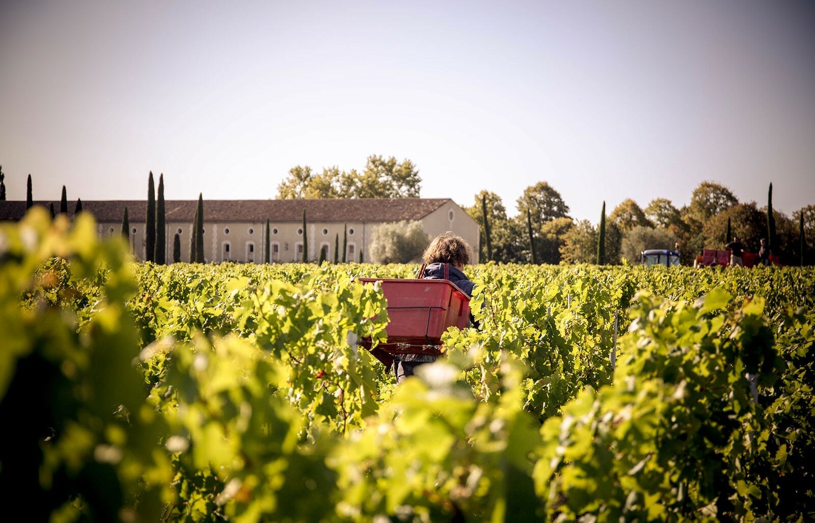 Château Clarke domaine