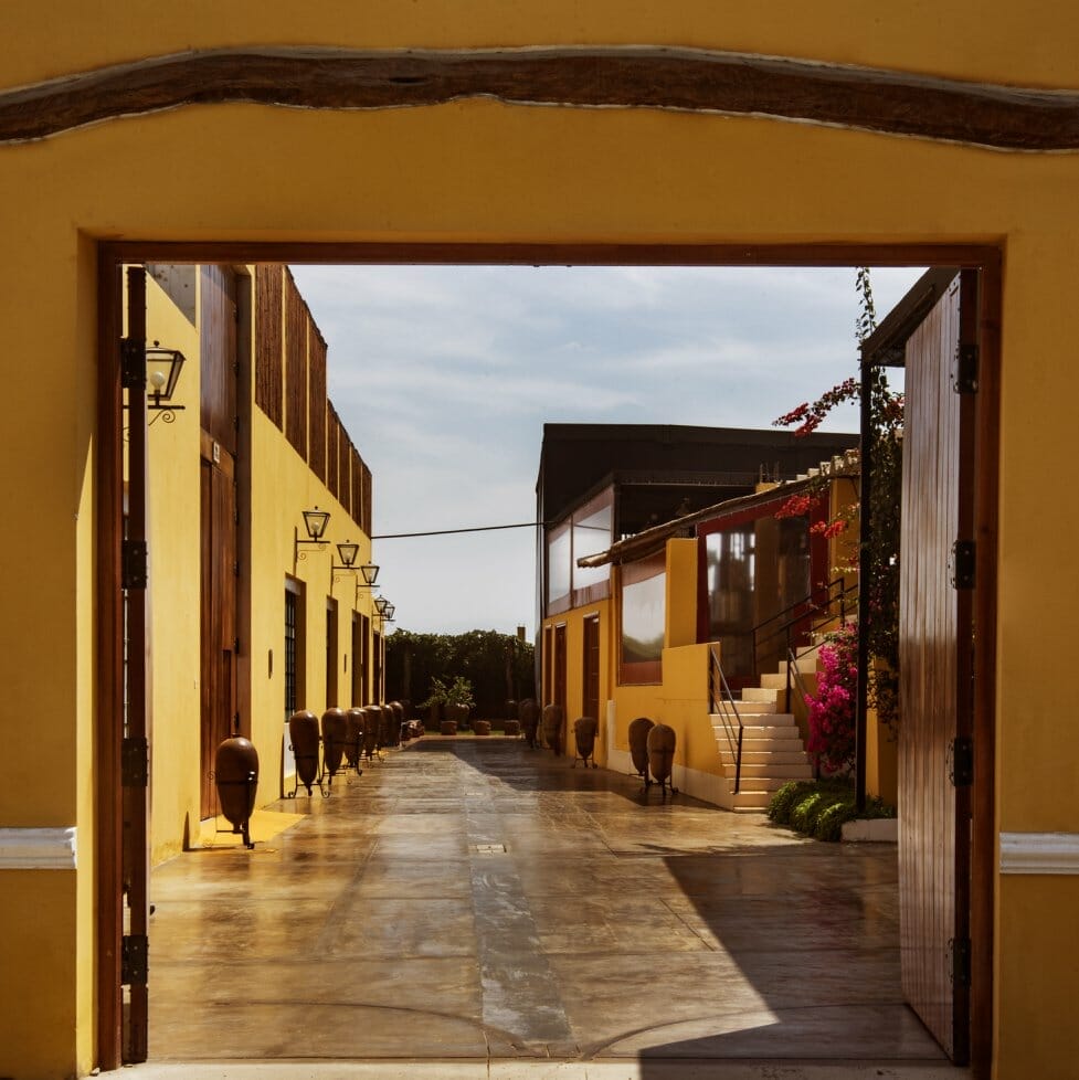 pisco Barsol