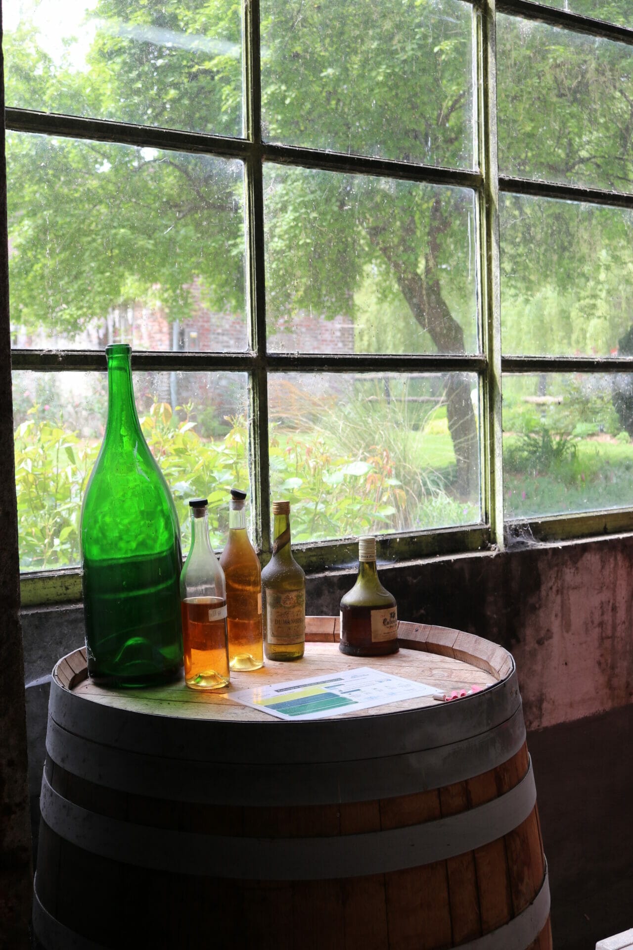 Croquez la pomme : Découvrez le spiritourisme en Calvados
