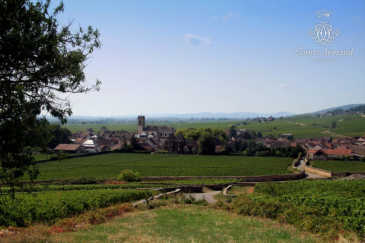 Domaine Comte Armand