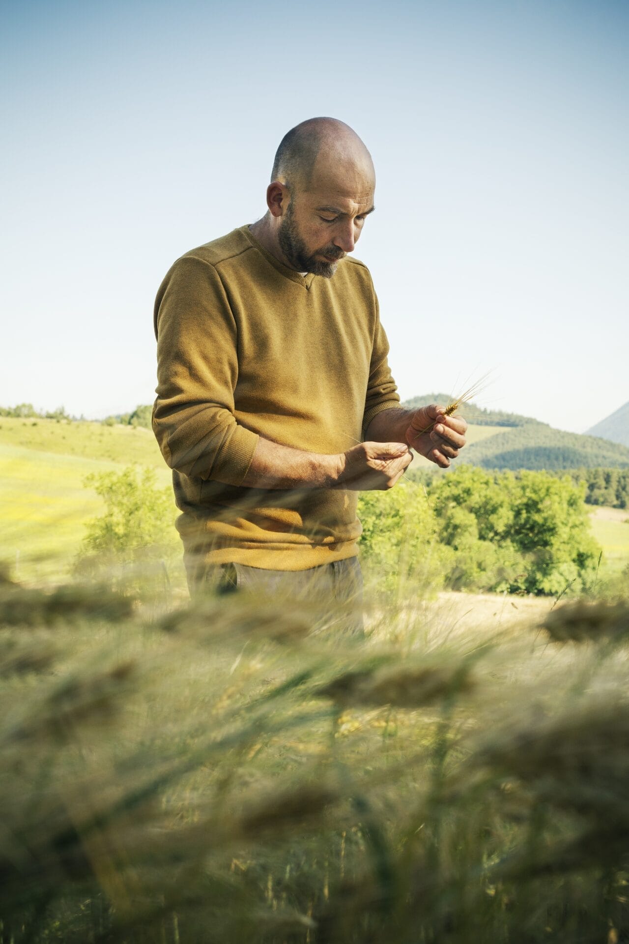 Domaine des Hautes Glaces Frédéric Revol champs