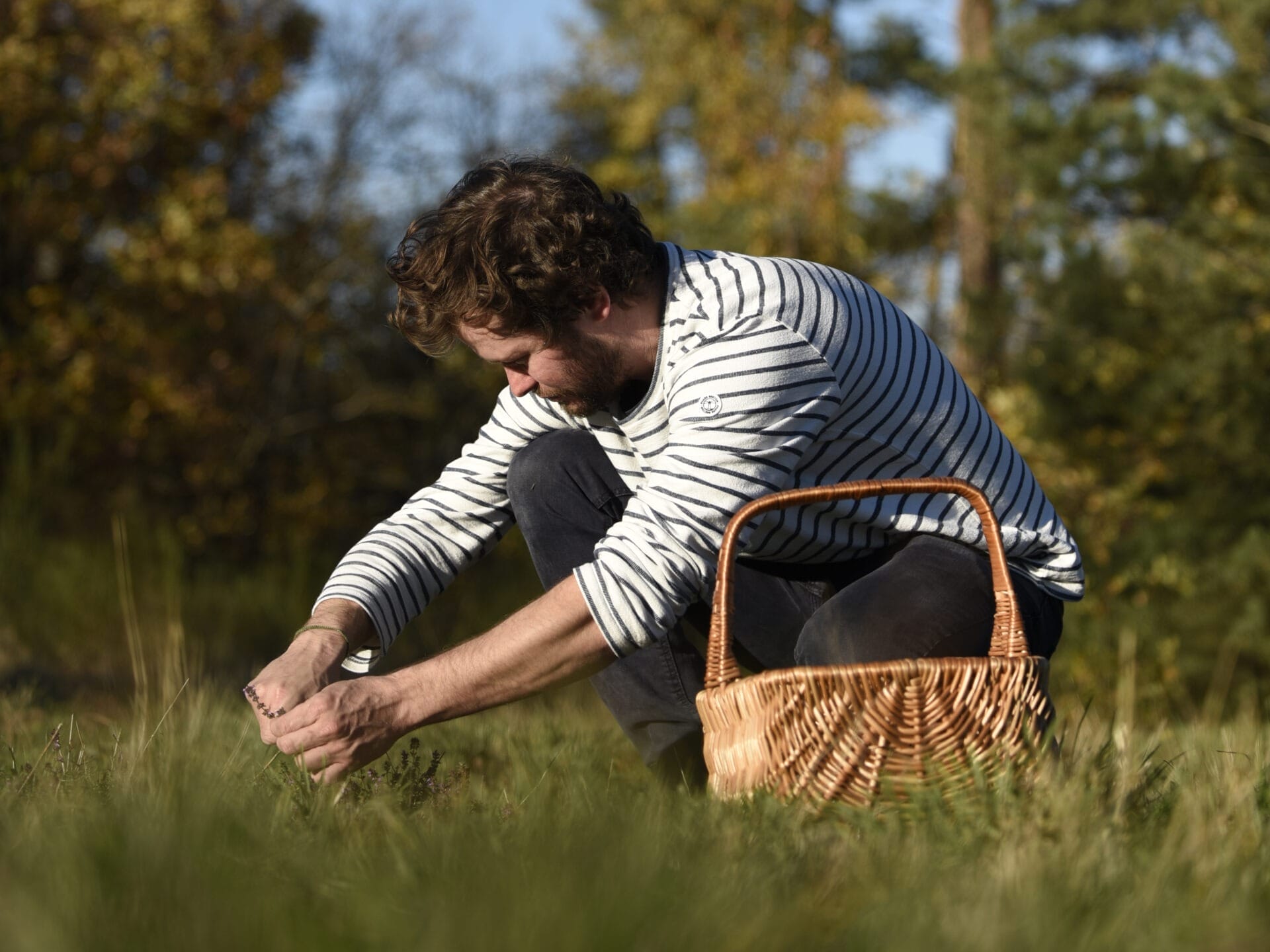 Maison 16 cueillette