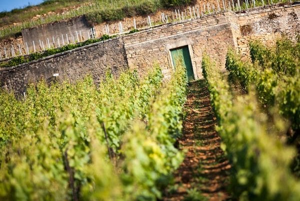 Chanson - exemple de Clos