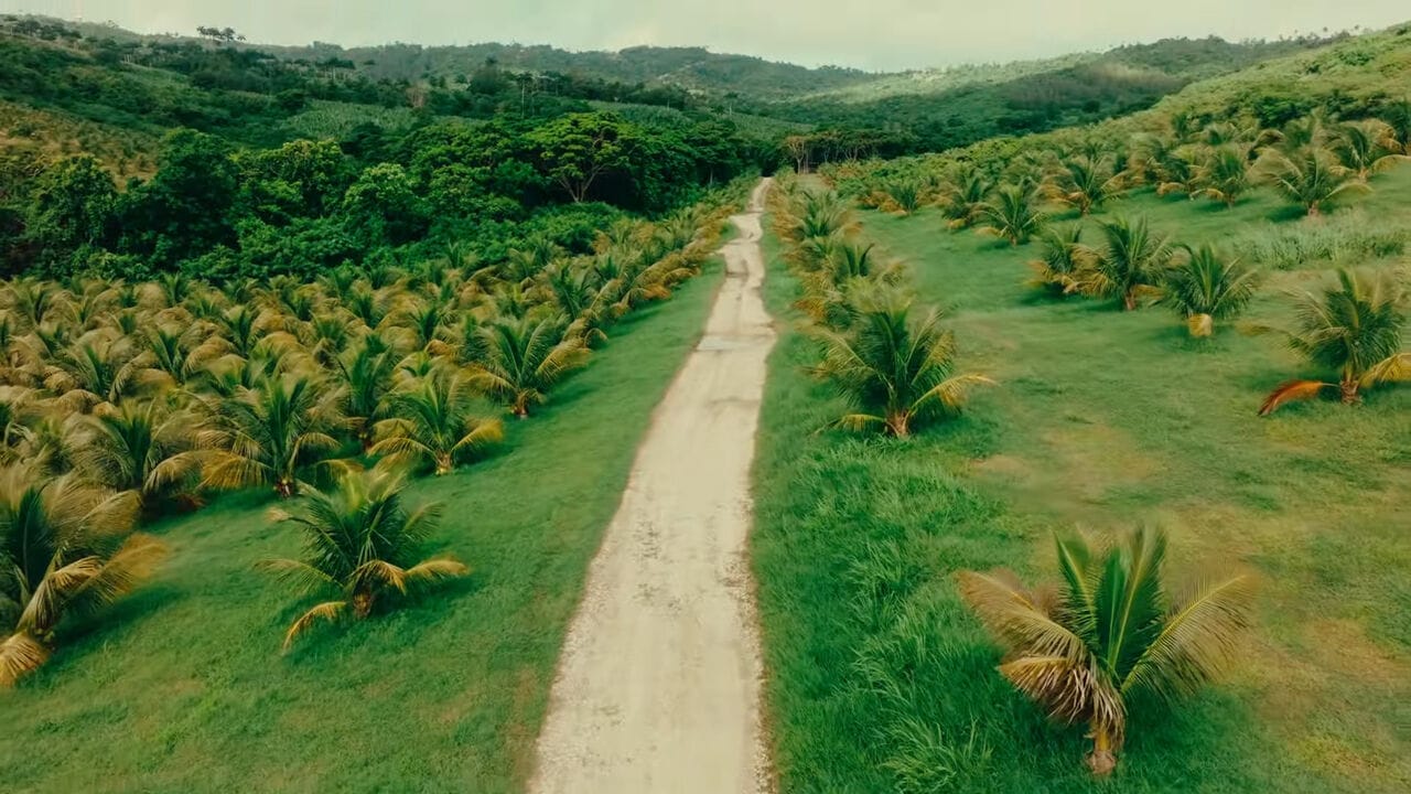 Planteray Cut & Dry rum noix de coco