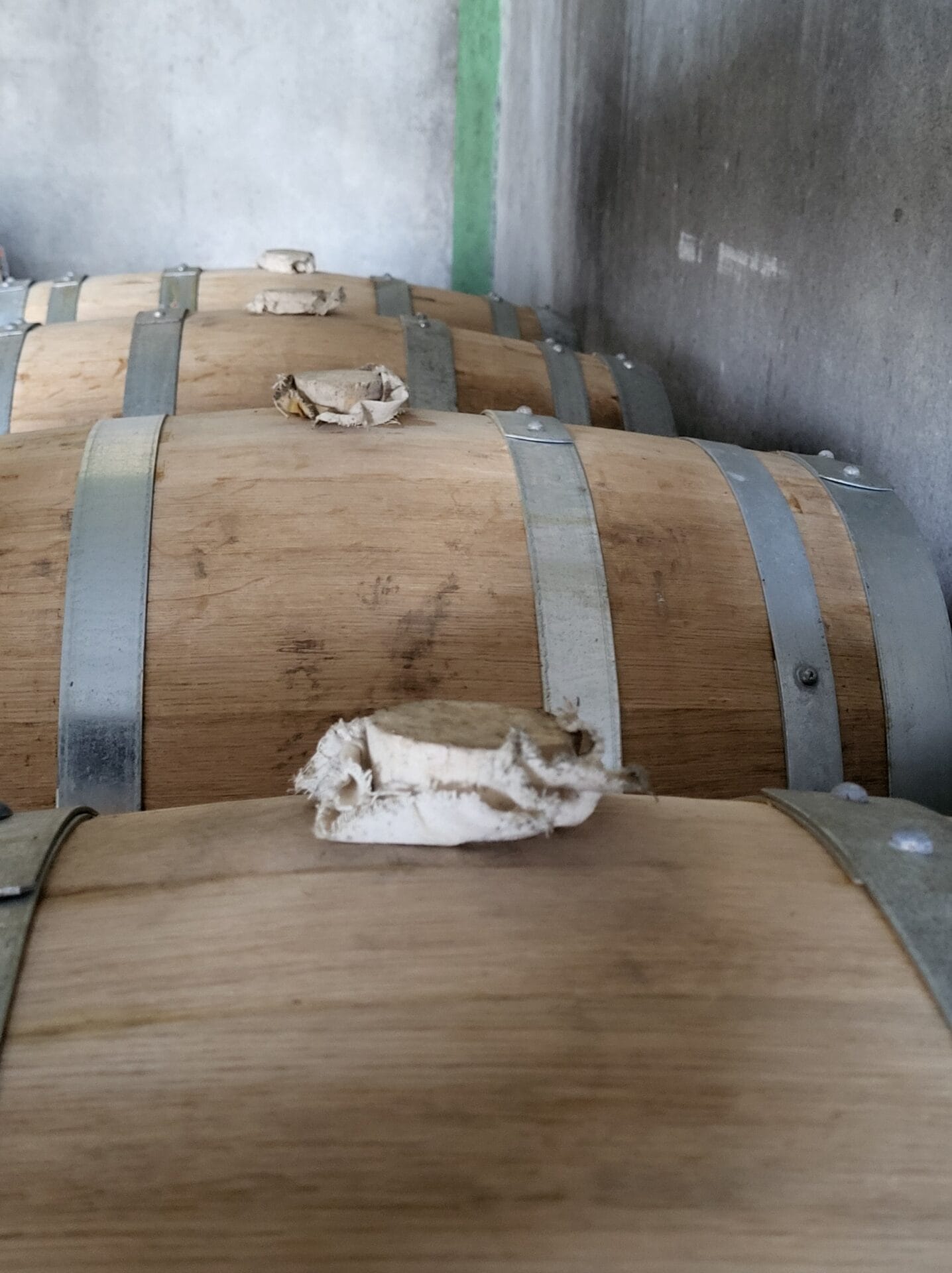 Distillerie des Deux Mers gamme gin vin raisin