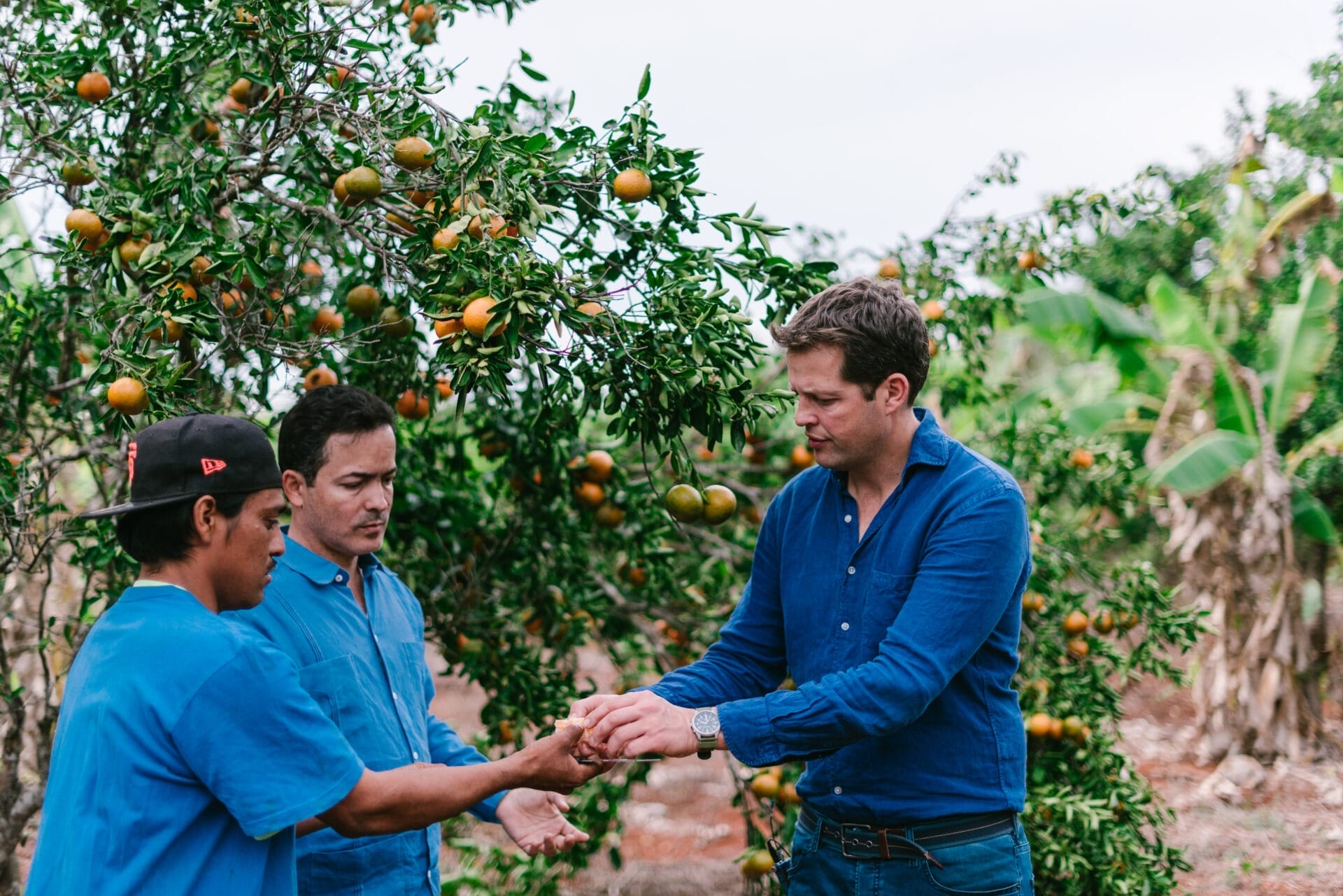Fever Tree Sourcing orange amère