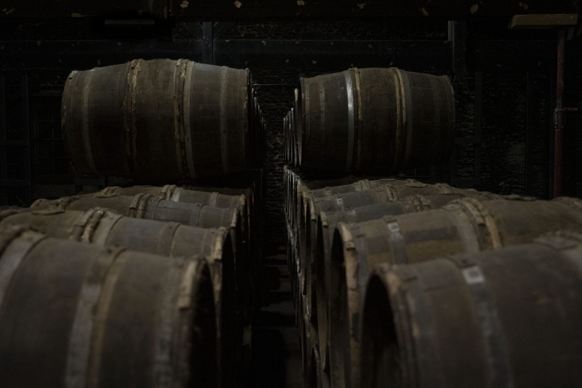 Hennessy chai Paradis