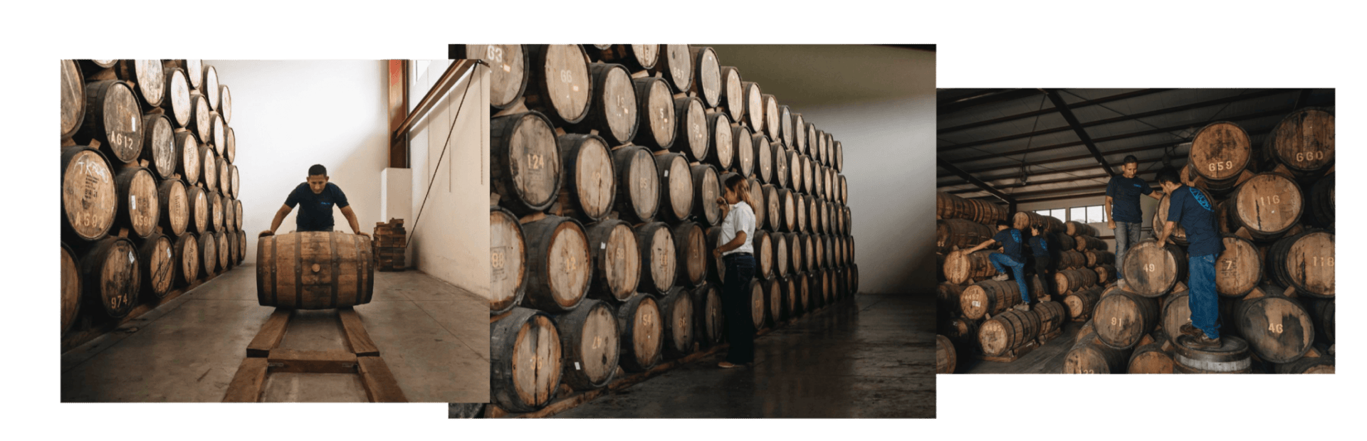 Distillerie de rhum du Savadore Cihuatán fût