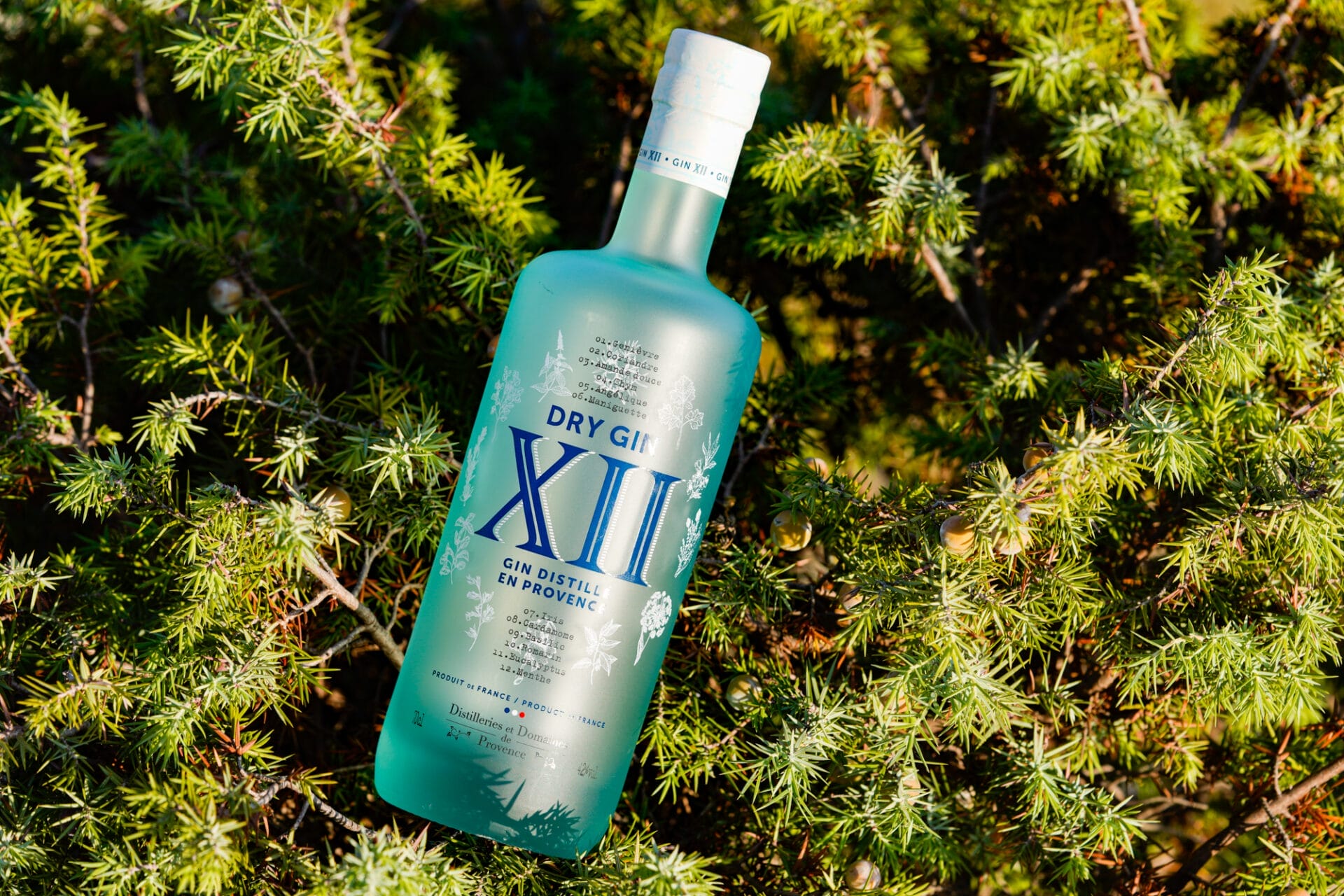 Distilleries et Domaines de Provence Gin XII