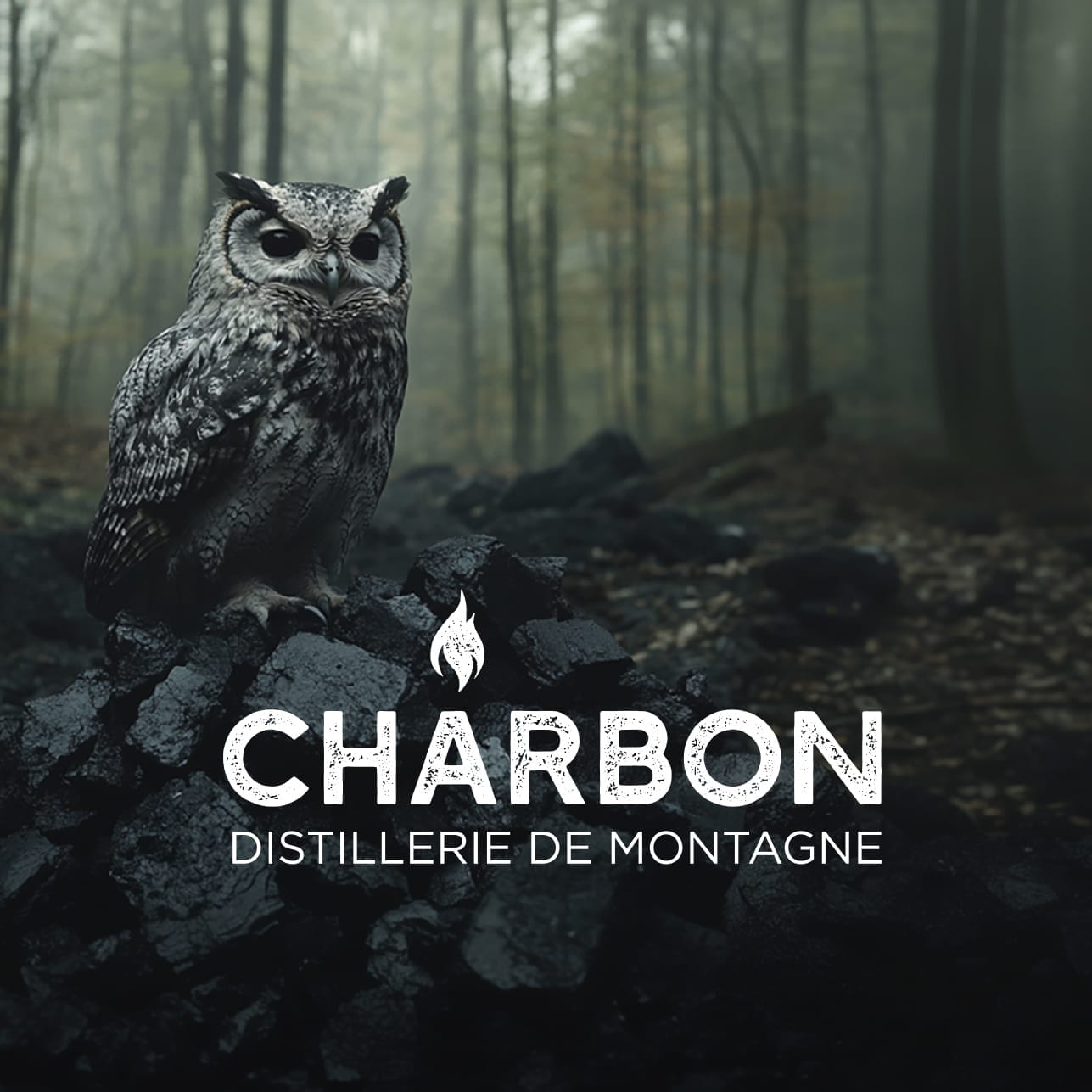 Distillerie Charbon